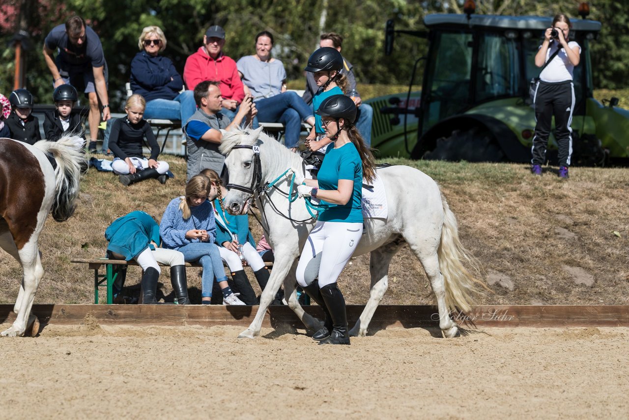 Bild 52 - Pony Akademie Turnier